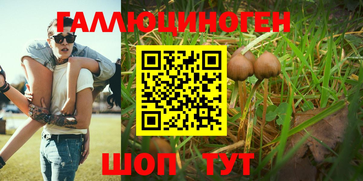 Псилоцибиновые грибы Psilocybe  Вход с VPN  Псилоцибиновые грибы Magic Shrooms  Сызрань 