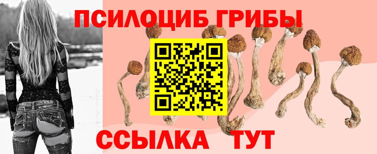 Псилоцибиновые грибы мицелий Сызрань